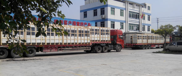 1683515576144634.jpg 16812006337454847.jpg