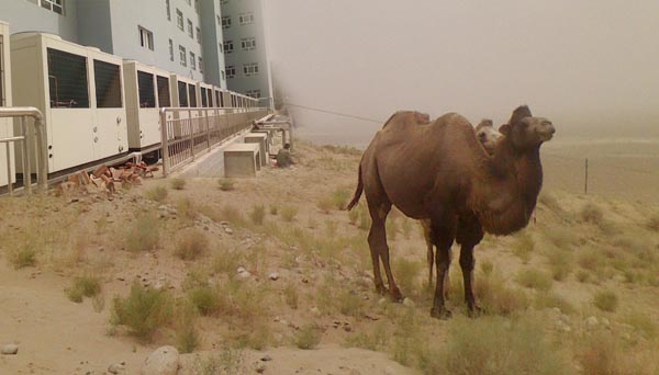 1683613736187782.jpg 16813573152642011.jpg